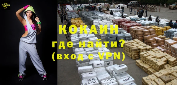 хмурый Абаза