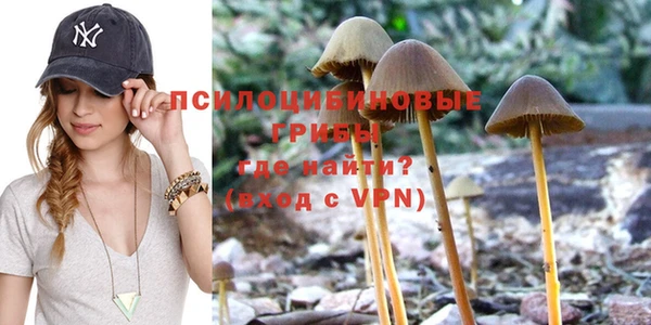 ECSTASY Алексин