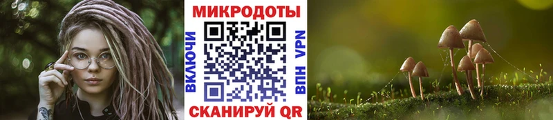 Псилоцибиновые грибы Psilocybine cubensis  Опочка 